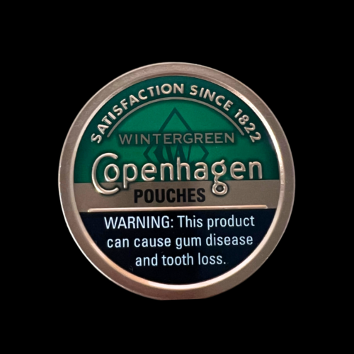 COPENHAGEN Wintergreen Pouches