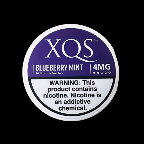 XQS Blueberry Mint-4MG