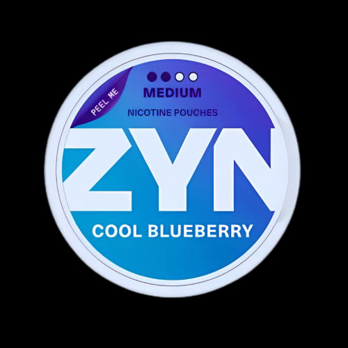 ZYN Cool Blueberry-6MG