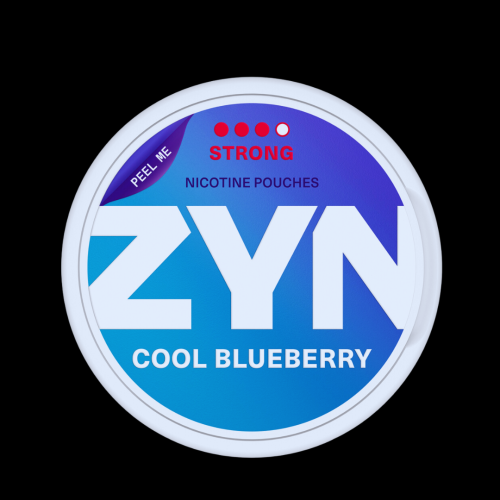 ZYN Cool Blueberry-11MG